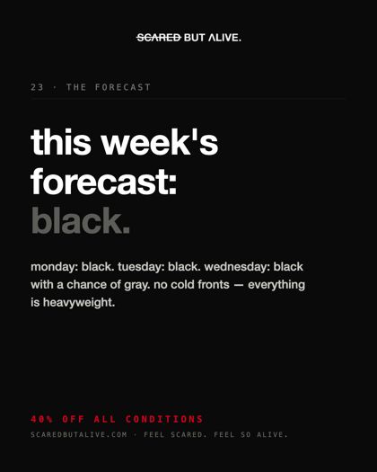 SET-23-the-forecast